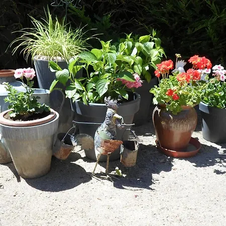 Grange Renovee Avec Jardin, Proche Montlucon - Fr-1-489-408